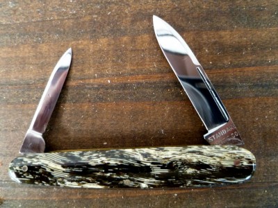 shad 003.JPG