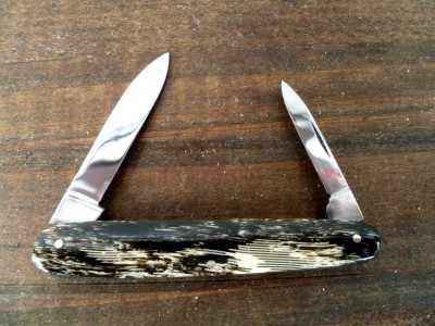 shad 004.JPG