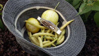 20150724_195628.jpg