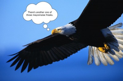 eagle-in-flight mayonnaise freaks.jpg