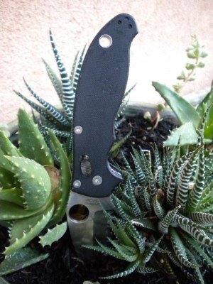 DSCN2658.JPG