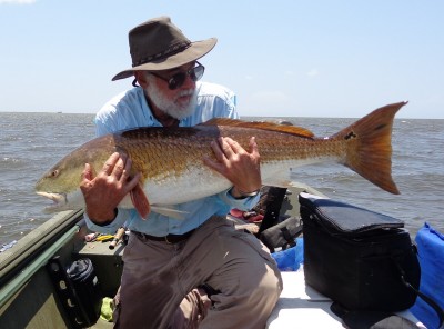 Redfish5.jpg