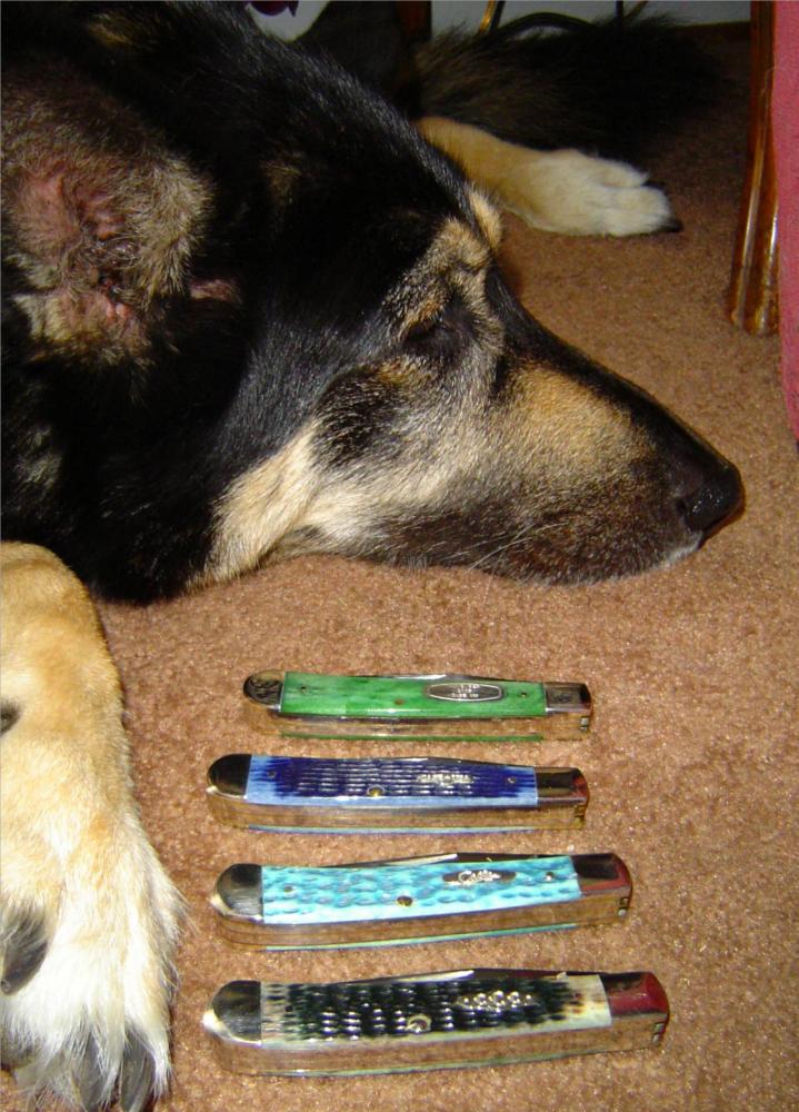 Dyna's bored.jpg