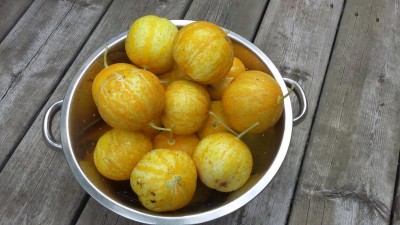 20150814_100605.jpg