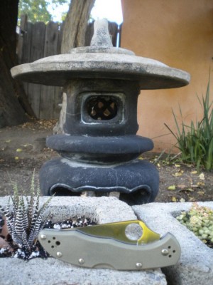 DSCN3330.JPG