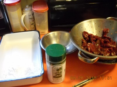 Ready to season with Everglades Seasoning
