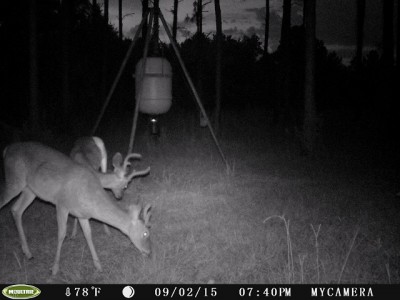 The twins born last October