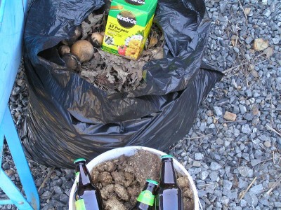 Beer, Miracle Grow, Oak leaf mold, Black Oak and White Oak species, and horse manure fresh from the Horses Rump on 3-19.