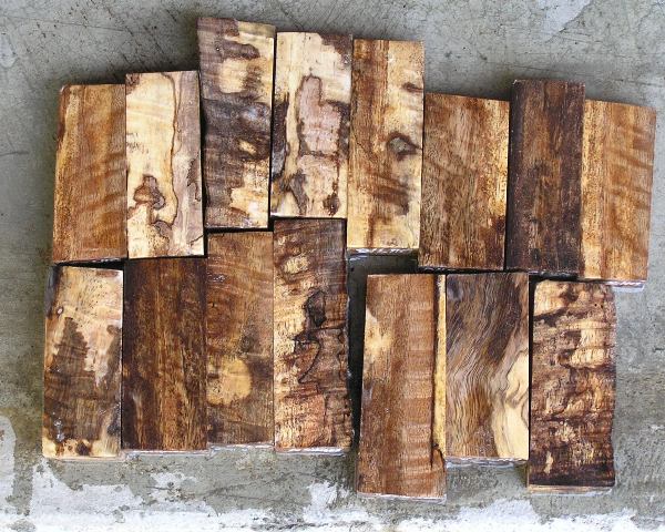 Spalted Mango