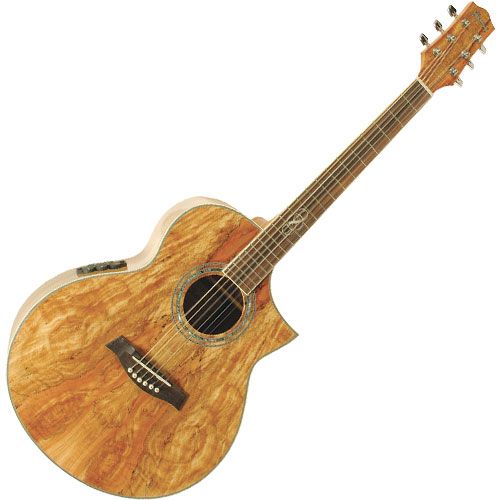 Ibanez guitar spalted maple.jpg