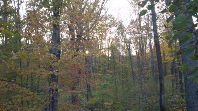 20151006_175255.jpg