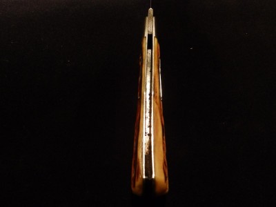 P1010047.JPG