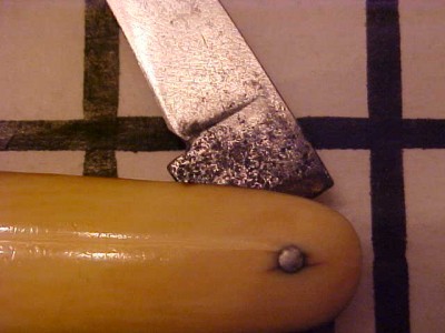 Saynor99 2.JPG