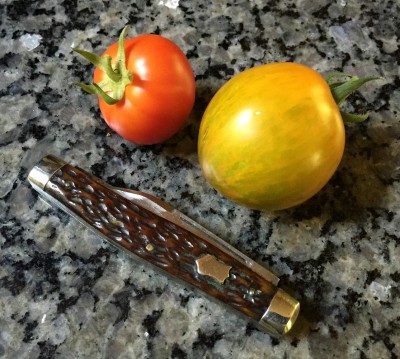 S&M Harvest Time.jpg