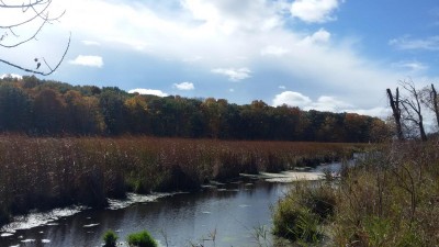 20151013_131021.jpg