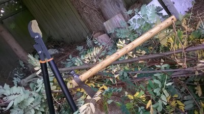 WP_20151022_14_34_02_Pro.jpg
