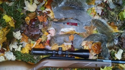IMG_20151101_125207028.jpg