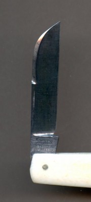 Saynor ivory bidding423.jpg
