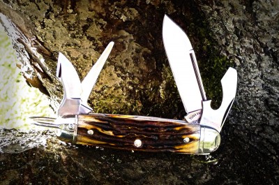 tuna-scout-stag-2014.jpg
