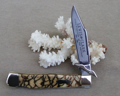 A Medium piece of TIGER CORAL on a Lewis and Clark Swing Guard