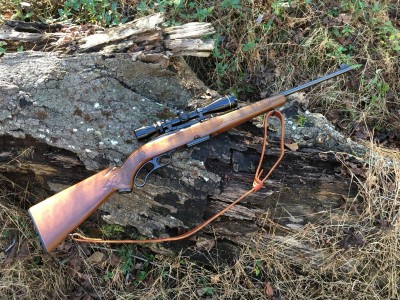 Winchester Model 88 (2).JPG