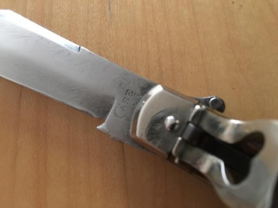 Case 5161 L V.JPG
