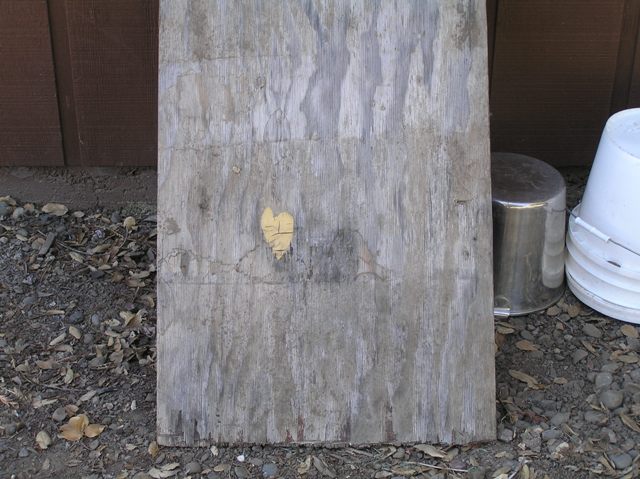 Plywood over the whole works.