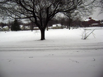 Tue 12-29-15 0730 AM.JPG