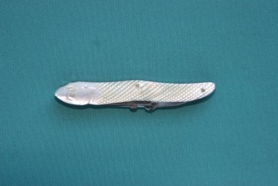 flfish1.jpg