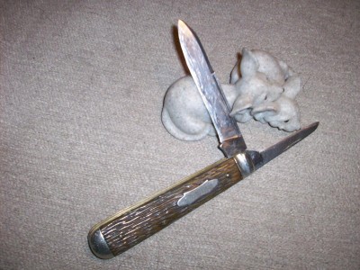 GriffonXX 006.JPG
