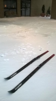 WP_20160123_027.jpg