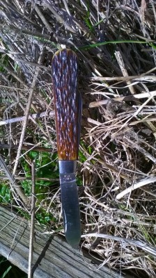 WP_20160122_12_51_10_Pro.jpg