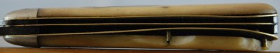 Excelsior 5 of 5.jpg