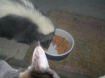 Visitor for breakfast