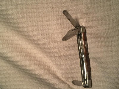 image.jpeg