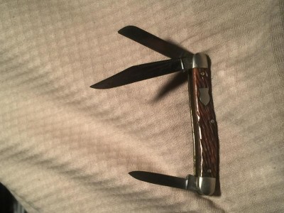 image.jpeg