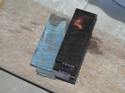 Blue and Brown Tiger Curl Maple