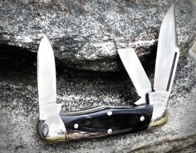 2015-tuna-valley-railsplitter-buffalo.jpg