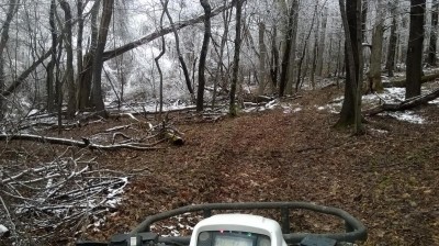 WP_20160320_007.jpg