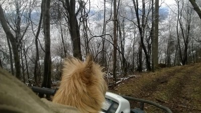 WP_20160320_009.jpg