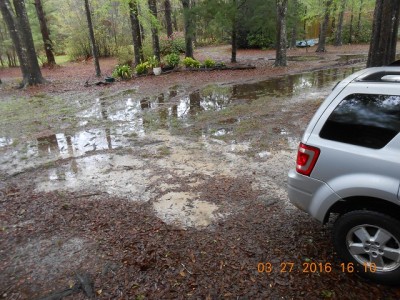 Our yard