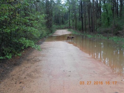 Our road