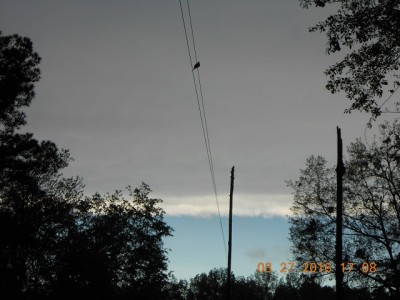 A pretty sight, the back edge of the last storm and some blue sky. Notice the dove on the power line, reminds me of the account of Noah and the ark.