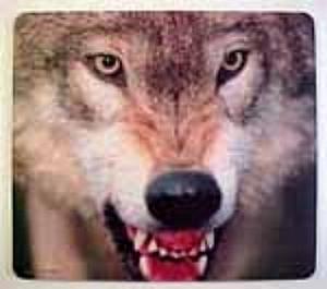 BIG BAD Wolf.jpg