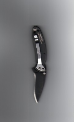 Kershaw Snap-On Chive 2.jpg