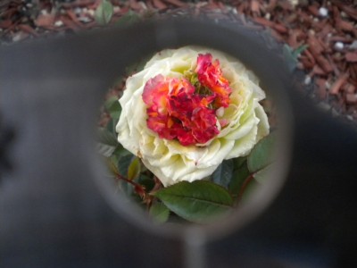 DSCN3446.JPG