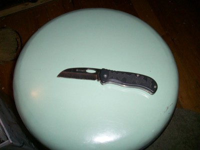 Edgie 002.JPG