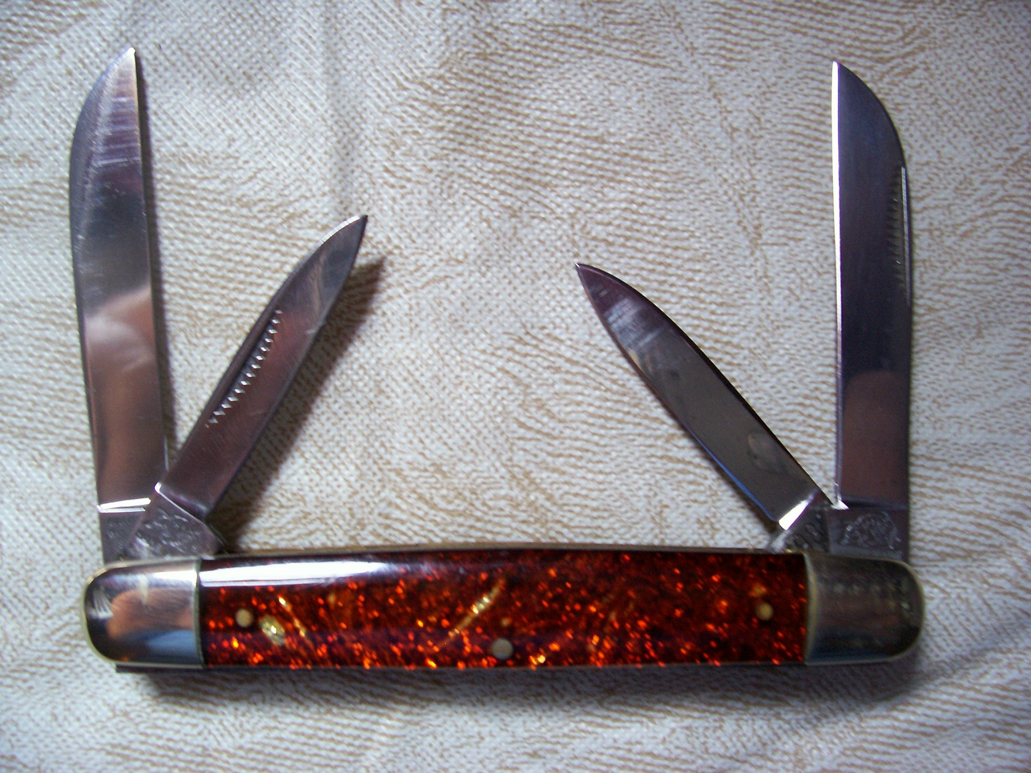 000_0795.jpg