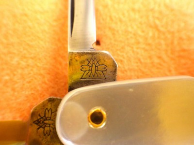 RIMG0491.JPG