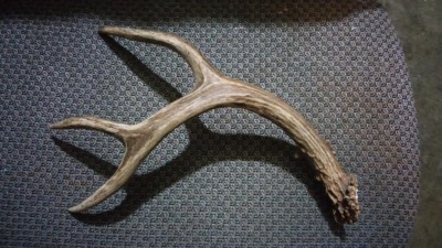 20160213_181048.jpg